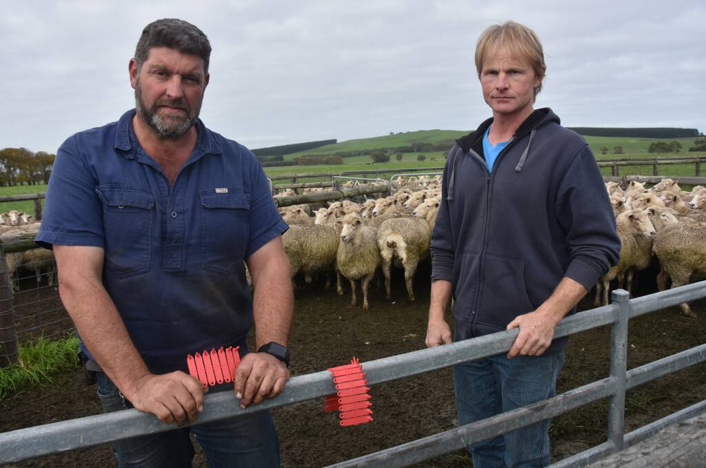 Duan Williams, Mount Burr and James Teagle, Mount McIntryre are among a number producers who are considering refund of their industry levies in protest of Livestock SA's inaction on eID. Picture by Catherine Miller