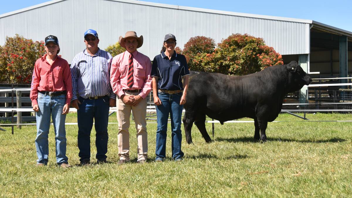 Henry and David Brewer, Brewer Beef Black Simmentals, Elders NSW auctioneer Lincoln McKinlay and Woonallee stud's Lizzy Baker with lot 84, Woonallee Rembrandt T461 which sold for $35,000. Picture by Catherine Miller