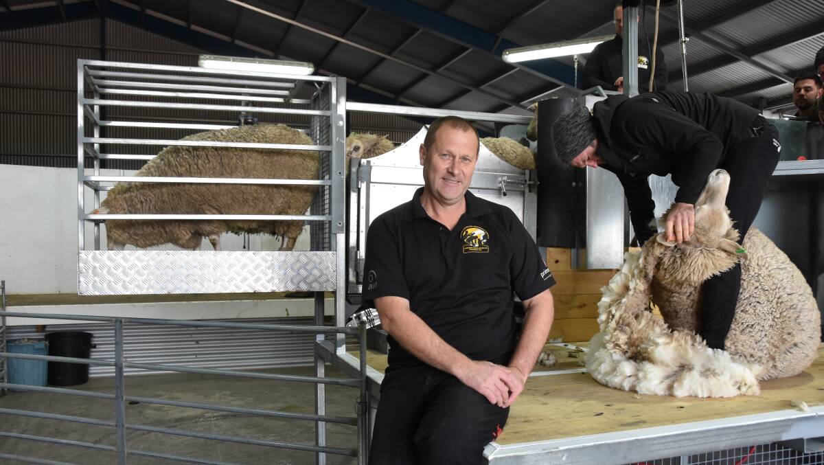 SA INNOVATION: Shearing Contractors Association of Australia shearer and wool handling training executive officer Glenn Haynes and trainer Paul Oster were testing the automated delivery race they have been working on at a shed near Naracoorte this week.
