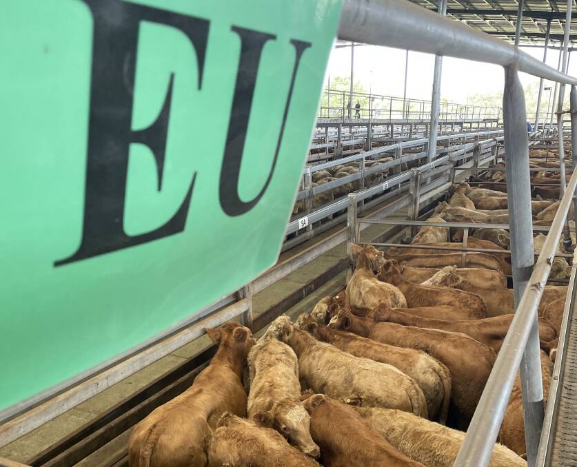 EU trade deal must be fair, not just free: Cattle Australia