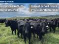 Saleyard cattle price to lift on the back of robust global beef demand: ABARES