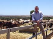 ONGOING PAIN: Hedland Export Depot's Paul Brown, Western Australia, says cattle businesses are still feeling the effects of an illegal decision to ban the live export trade to Indonesia, made in 2011 by the then Labor government.