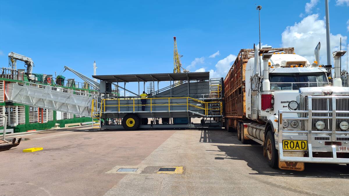 Cattle are loaded for shipment by sea from Darwin to Broome in what has been Australia's first domestic live-ex voyage. The cattle will be processed at the Kimberley Meat Company. Pictured supplied by KMC.