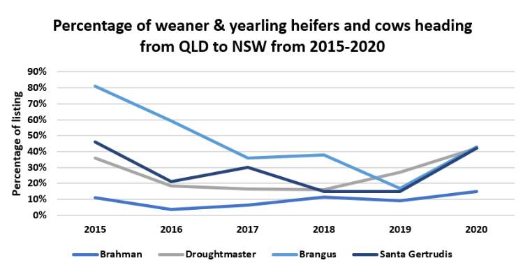 SOUTHWARD: The percentage of weaner and yearling heifers and cows going from Queensland to NSW. Source AuctionsPlus