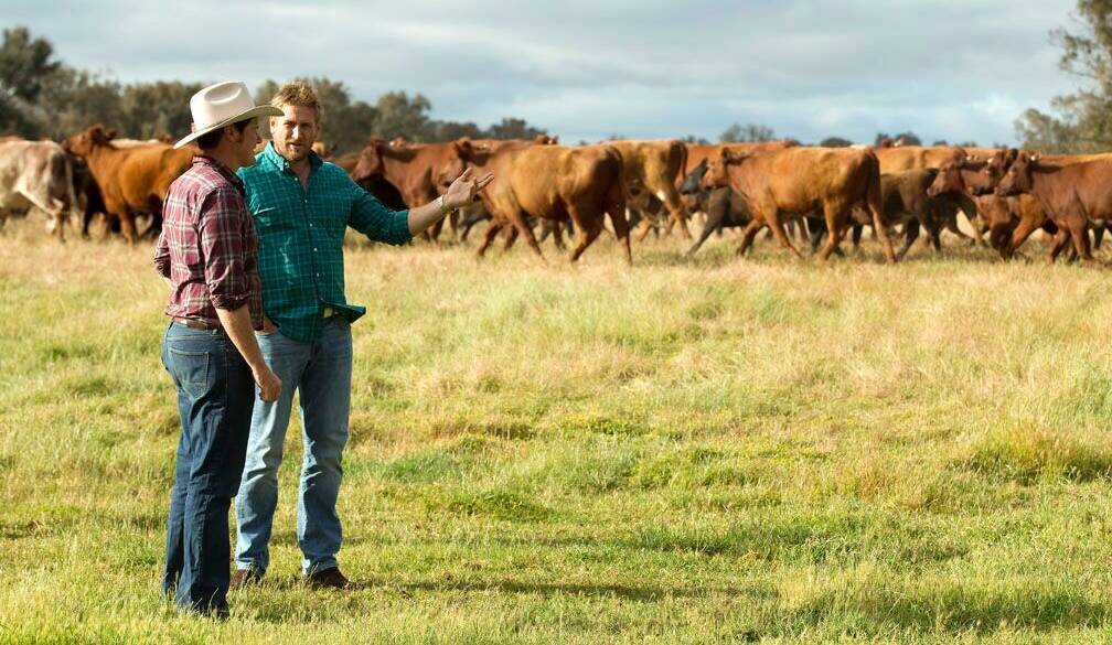 WA beef producer Stuart McCormack on-farm with internationally renowned Australian chef, Curtis Stone.