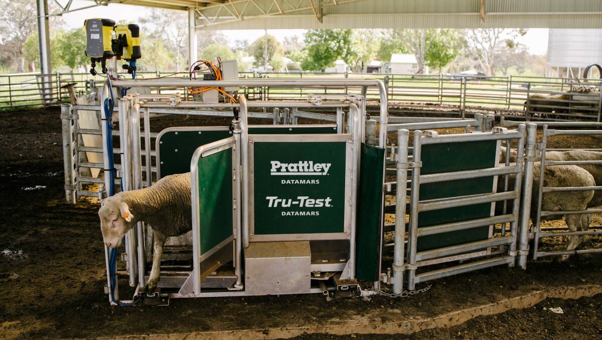 Livestock handling equipment company Prattley Industries Ltd now has new owners.