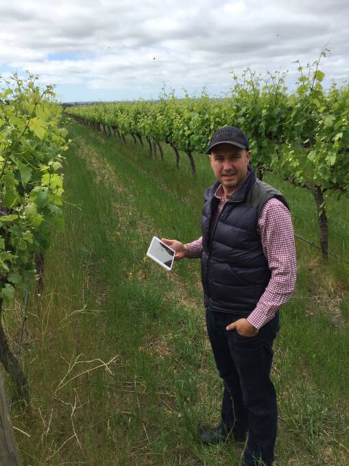 SHARING: South Australia grape grower Oli Madgett has expanded cutting edge soil technology to the grazing game.