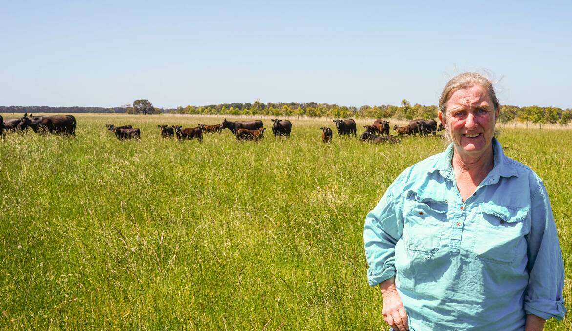 Fiona Conroy and Angus cattle on Knewleave. Picture Rachel Simmonds.