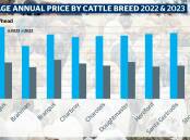 Brahmans have proven the most resilient breed to cattle market declines in 2023 in online data analysis conducted by Episode 3. 