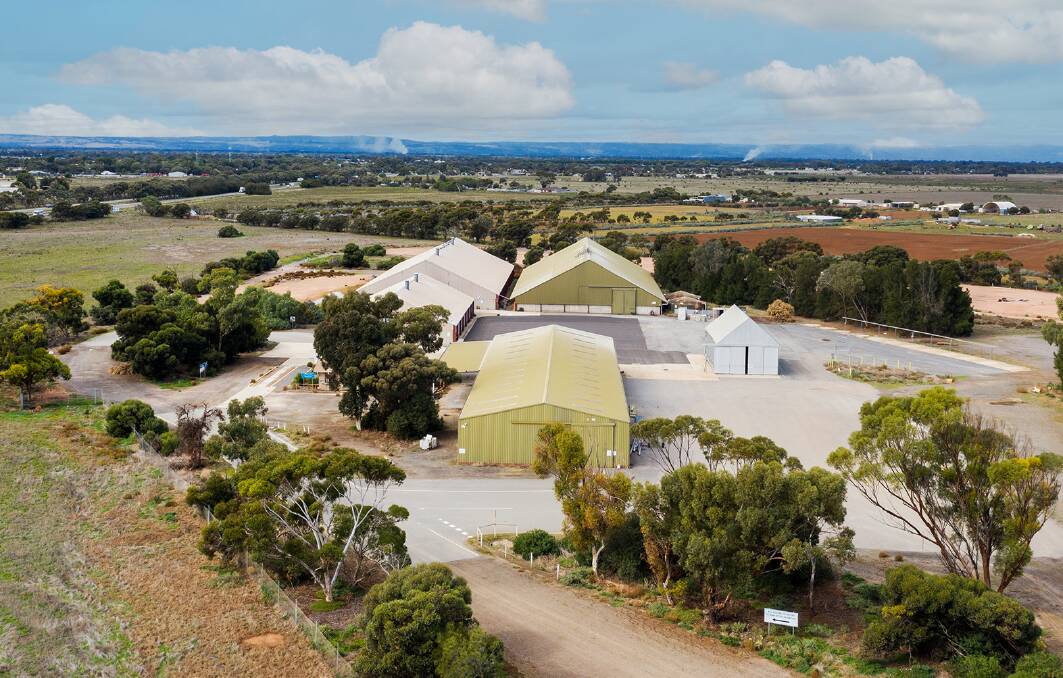 BULK STORAGE: A big grain handling and storage site north of Adelaide is on the market. Pictures: CBRE, Colliers. 