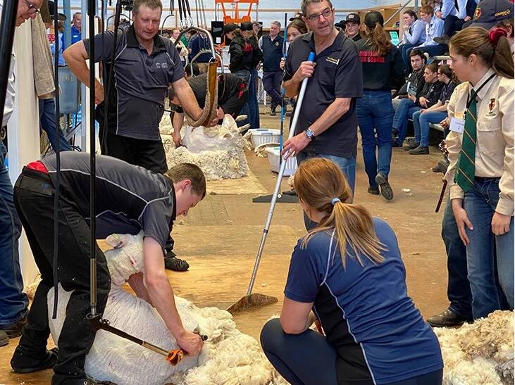 Shearing at the Adelaide competition.