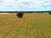 Passed in at $5800/ac at auction late last week, this cropping block near Maryborough has since sold. Pictures: Nutrien Harcourts.