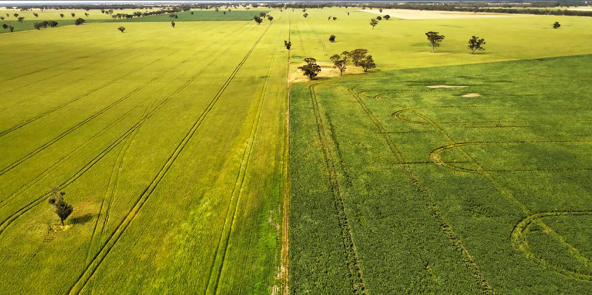 Handy cropping country on the SA/Victorian border is heading to auction after the harvest is done. Pictures from Ray White