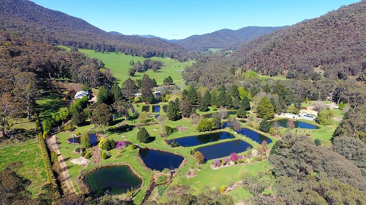 FISHY BUSINESS: A fish farm has hit the market on the foothills of Mount Hotham in the Ovens Valley with a suggested price tag of $4.25 million.