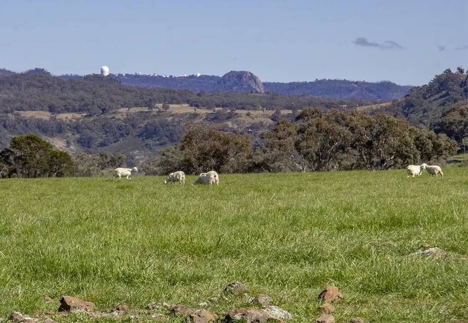 Forest Glen is described as highly productive plateau grazing country in the heart of the scenic Warrumbungles. Pictures: Ray White.