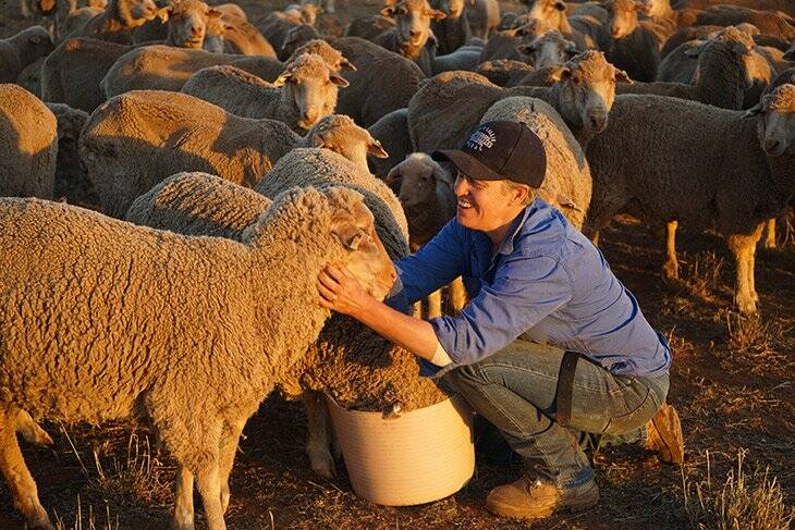 HAPPIER SHEEP: Jodie Green with her sheep at Boree Creek in NSW. Pictures: AWI.