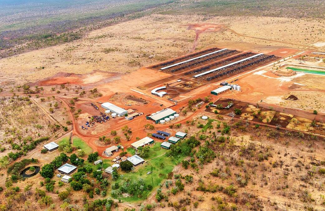 Pair of big NT cattle stations back on the market after 17 months