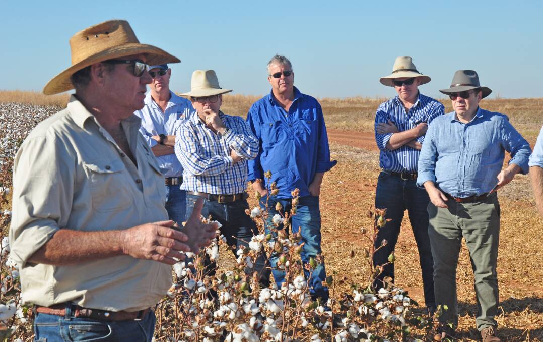 Tipperary Station farm manager Bruce Connolly talks up the potential of cotton as a major agricultural industy for the NT.