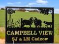 LAND SOLD: Shawn and Louise Cadzow were pleased with the sale of Campbell View across four lots north of Clare. Pictures: Ray White.
