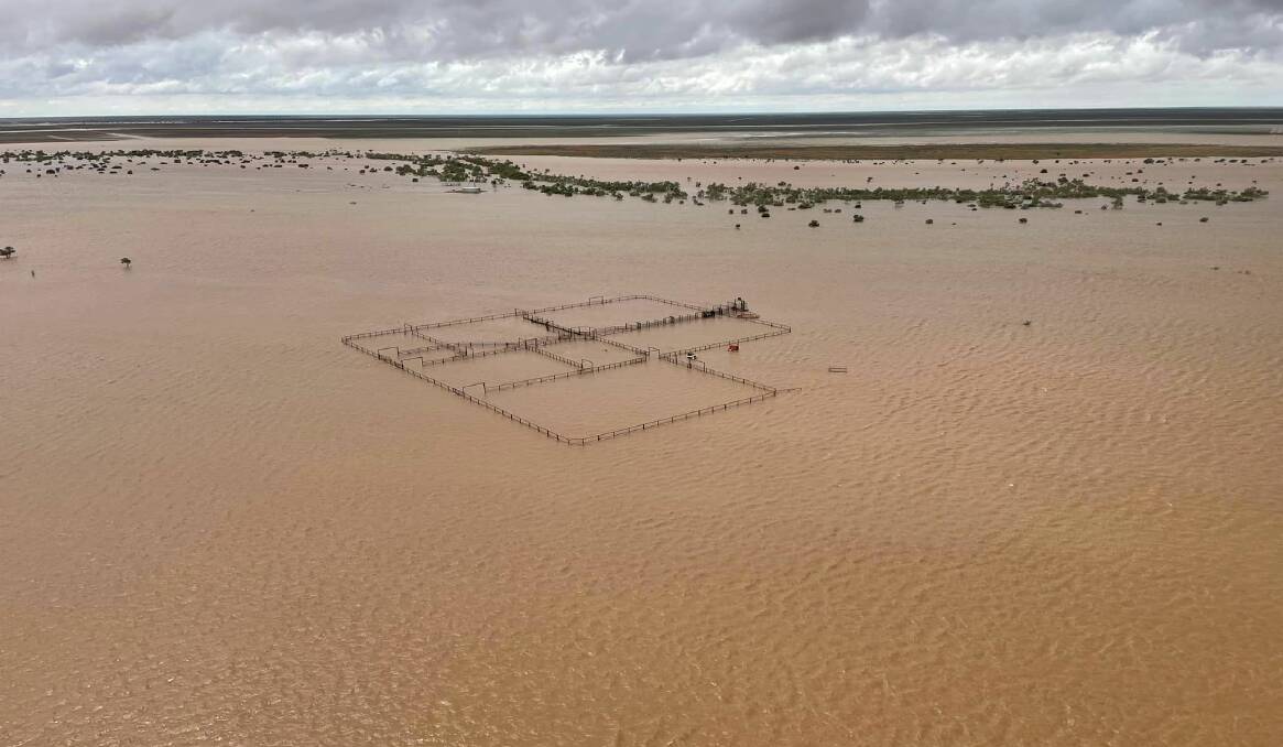 Thanks to ex-TC Ellie, cattle yards were submerged by floodwater on Lake Nash near the NT/Qld border. Pictures from Georgina Pastoral Company.