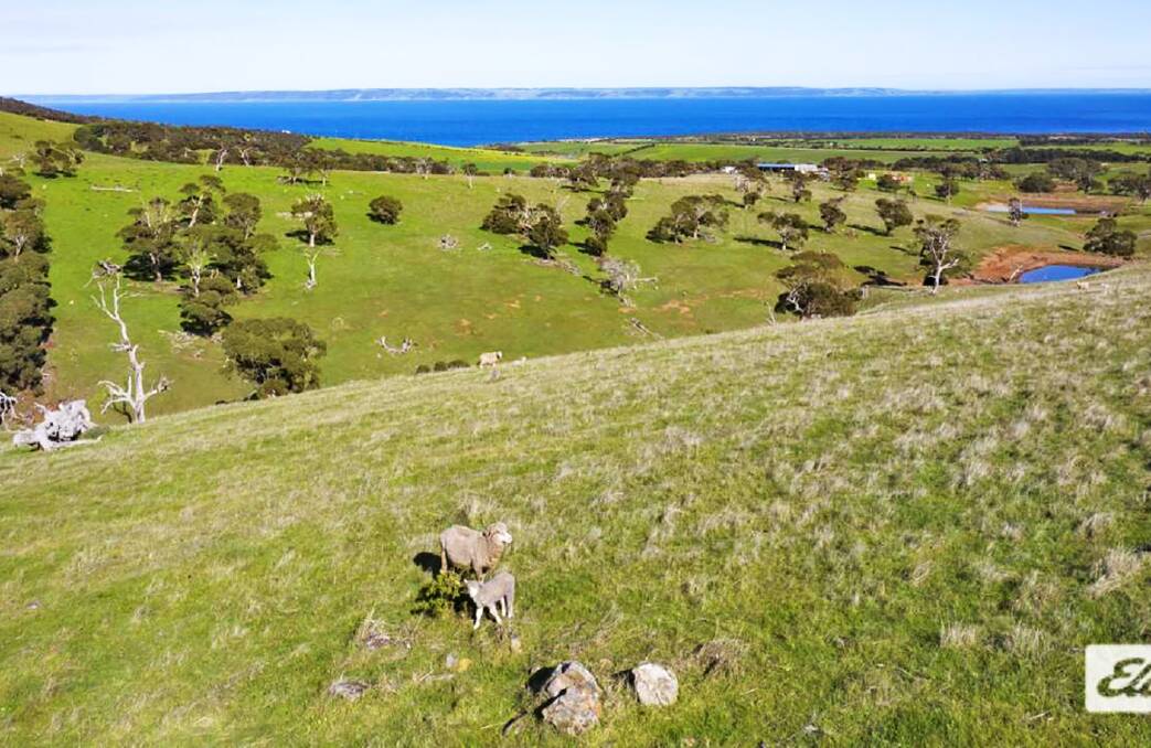 FARM VIEW: There's no home yet, but power is available to this grazing block on the Fleurieu Peninsula. Pictures: Elders.