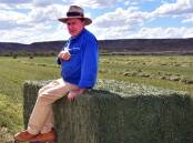 Veteran cattleman Wally Klein has spent 40 years running stations in the Territory. File picture. 