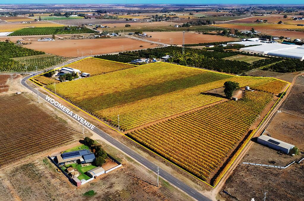 Offers of more than $850,000 are sought for this table grape block in the Mildura region. Pictures from Professionals Mildura Real Estate