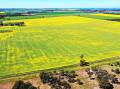 The Minyip farm block has been share farmed for several decades. Pictures from Ray White