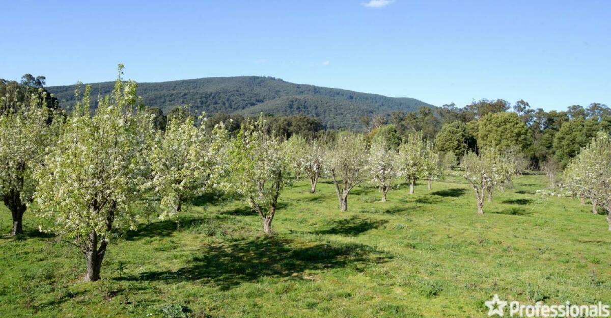 TREE CHANGE: Lifestyle block buyers are more interested in the views than the orchard. Pictures: Professionals Yarra Valley.