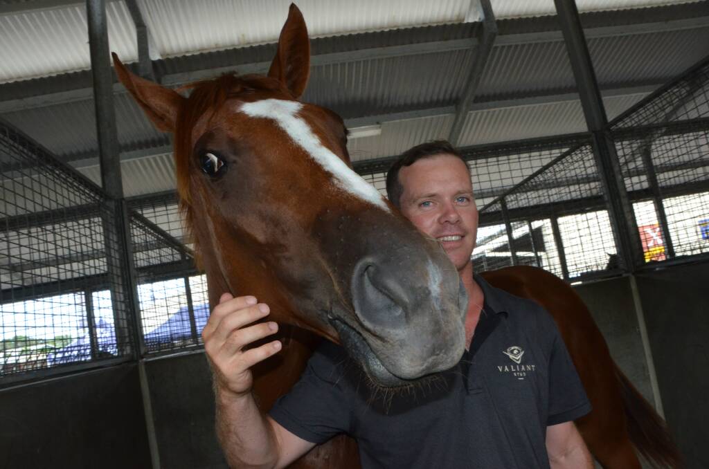 New Upper Hunter Valley Thoroughbred farm operations principle Fergal Connolly – Valiant Stud, with the chestnut filly by hot young sire Zoustar, from Thurlow, which was to be offered at the Magic Millions yesterday. Photo Virginia Harvey.
