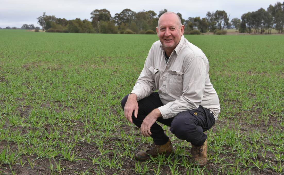 Victorian farmer Greg Speirs in a paddock of Compass barley that has been bolstered by good June rainfall.