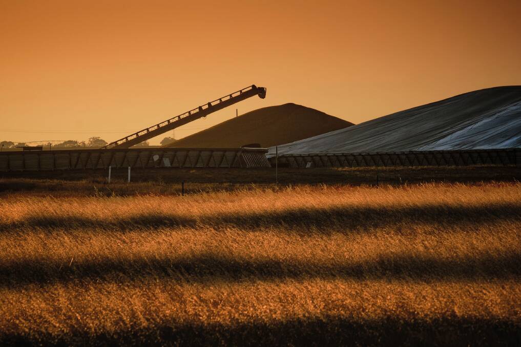 Despite Australia's grain pipeline being mostly empty leading into the 2020 harvest, after a string of poor seasons in the eastern states, exports of wheat, barley, sorghum and canola hit an impressive 36.336 million tonnes in the past 12-months.
