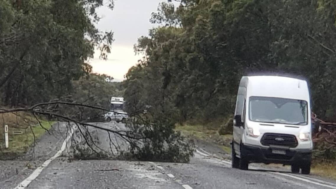 WILD WEATHER: Trees came down during this week's storms, causing traffic chaos to go with the heavy rain. Photo: Rob Dixon.