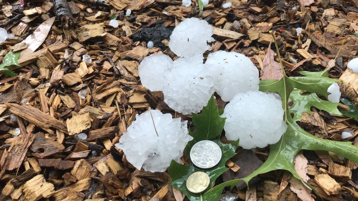 Golf ball sized hail smashed into CSIRO's research facility at Black Mountain in Canberra last week.