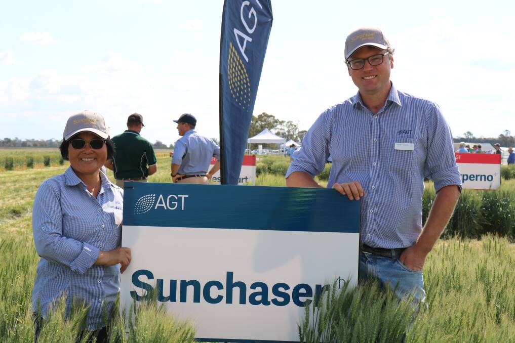 AGT wheat breeder Meiqin Lu and assistant breeder Tom Kapcejevs with a trial of the new wheat variety Sunchaser.