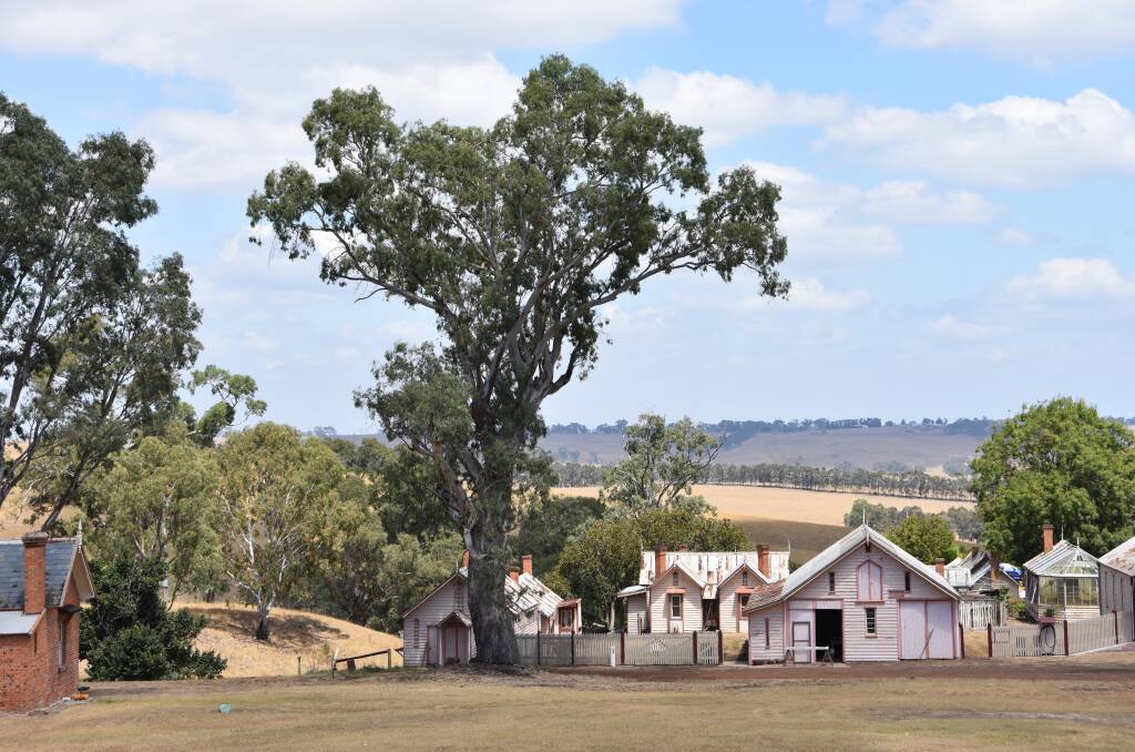 Warrock Station is nestled amongst the big redgums and rolling hills of far western Victoria near Casterton.