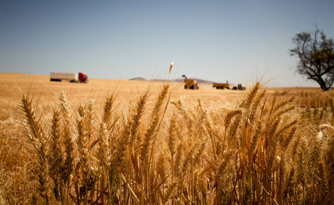 The harvest in SA's Mid North region is progressing well. Photo by Kelly Buttherworth.