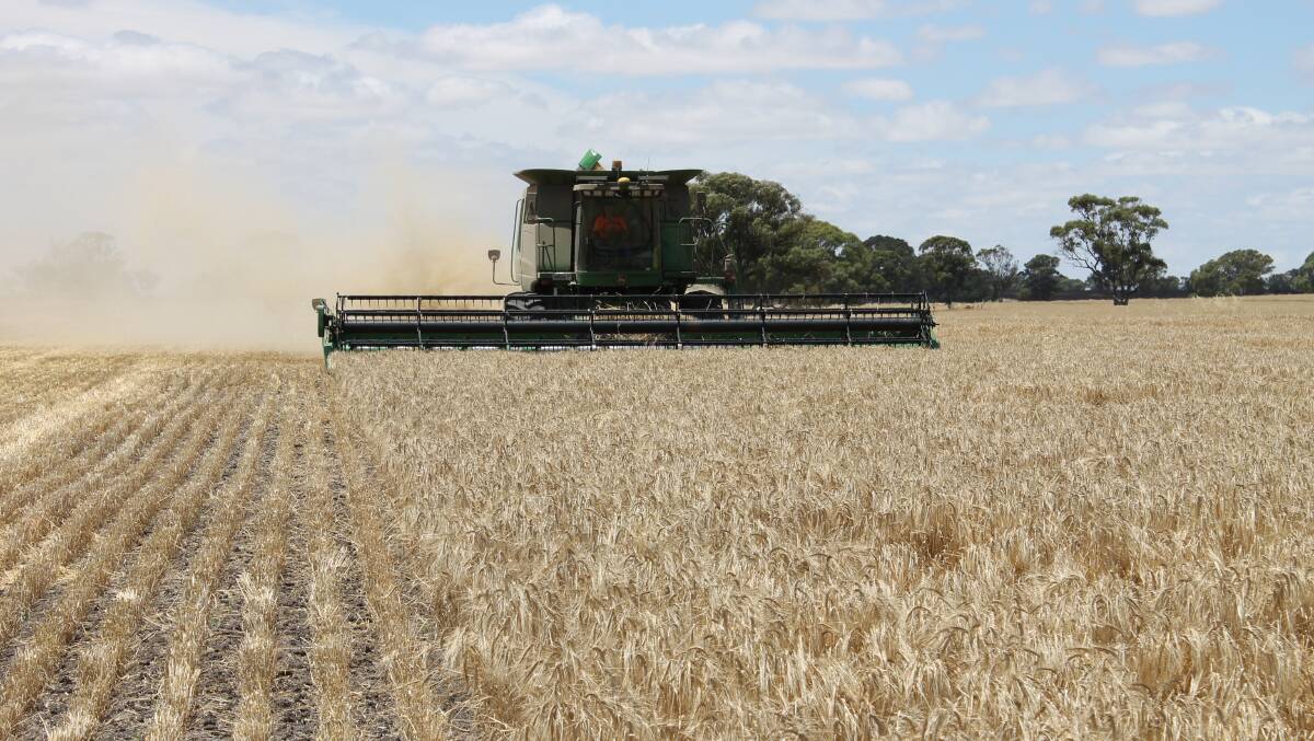 The barley harvest is beginning to ramp up in Victoria's Wimmera region.