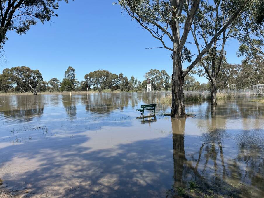 A park bench sits soggily in flood waters in Horsham on Wednesday. Photo: Gregor Heard.