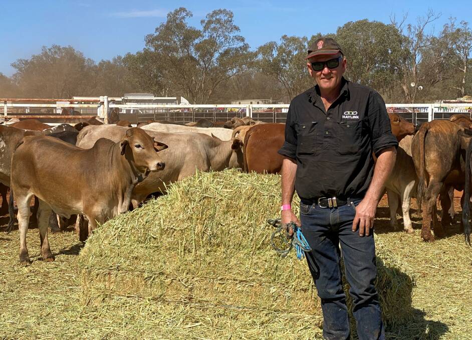 Al Turner, Haylink, believes higher moisture hay is suited to the domestic market.