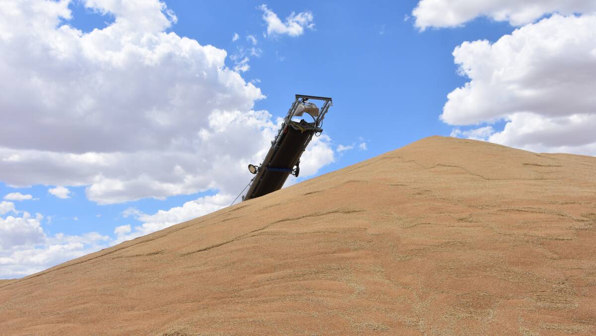 Two major grain exporters are reportedly in merger discussions. Photo by Gregor Heard.