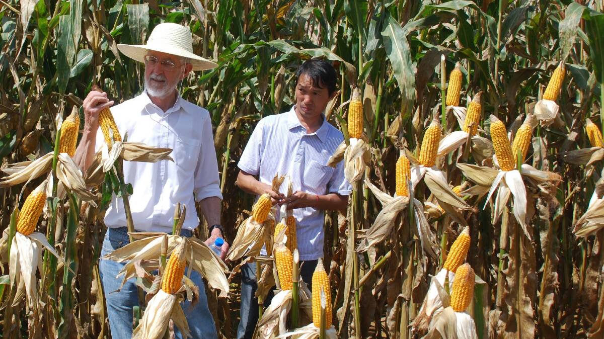 Robin Graham (left) at work on a corn project in Yunnan, China.
