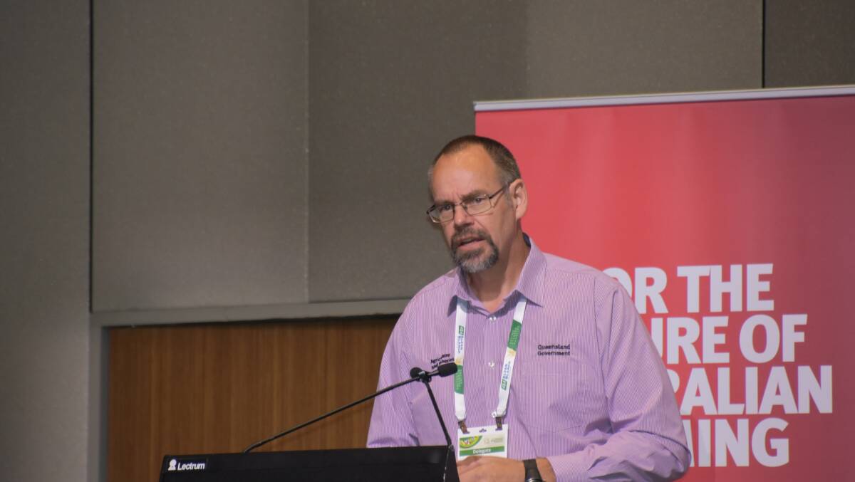 Andrew Zull, agricultural economist with DAF in Queensland says winter sown sorghum can provide valuable flexibility within crop rotations. Photo by Gregor Heard.