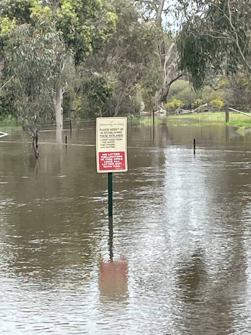 The Wimmera River is currently at its highest levels since 2011 but major flooding issues have been averted for now. Photos: Gregor Heard.