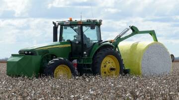 Cotton growers are more optimistic about the season ahead following good rain in the past week. File photo.