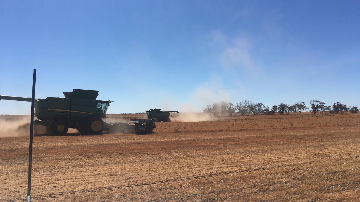 Australian farmers will not begin their lentil harvest until later in the month.