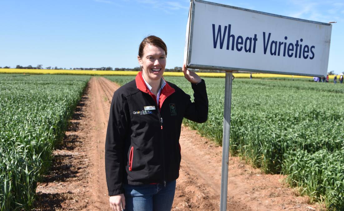 Birchip Cropping Group research projects leader Claire Browne says there has been extensive frost in north-west Victoria, but added it was extremely patchy and hard to estimate total damage.