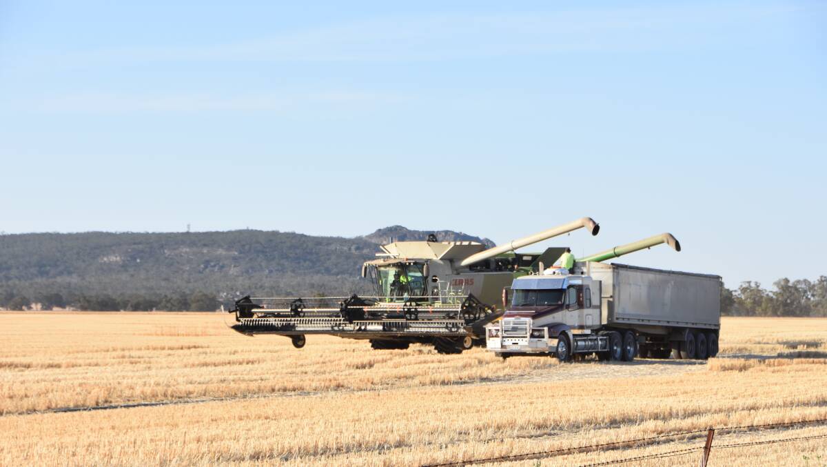 The signs are promising leading into harvest, with wheat prices jumping in recent weeks.