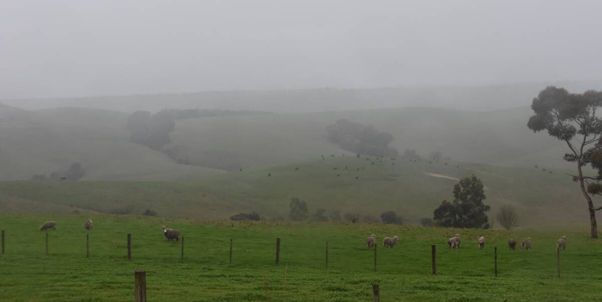 The rain tumbled down over the rolling hills near Coleraine in far western Victoria last Saturday, with up to 25mm in the area.