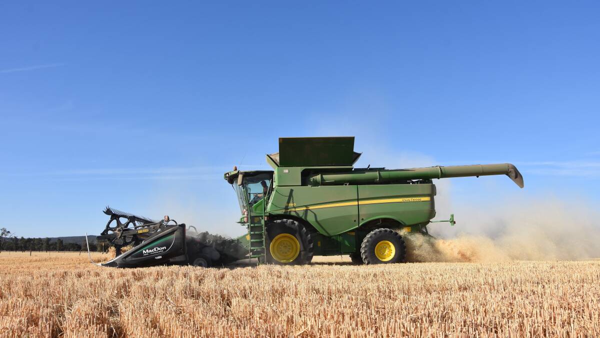 PRO PUZZLE: High protein wheat lines are set to be in strong demand this harvest.